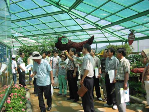 2005 울진 세계친환...