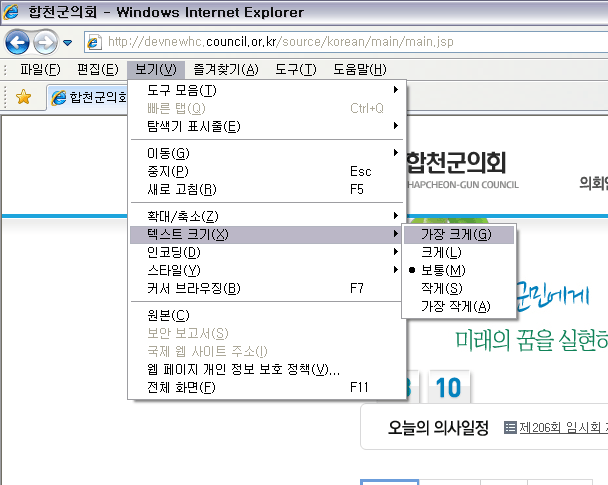 인터넷 익스플로러 : 상단 메뉴의 보기 > 텍스트 크기 메뉴에서 설정