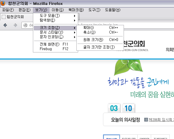 파이어폭스 : 상단 메뉴의 보기> 크기조정 메뉴에서 설정