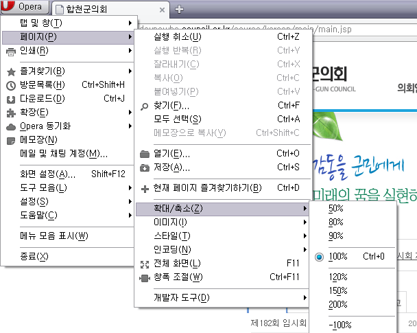 오페라 : 상단 메뉴중 보기 > Zoom 메뉴에서 설정