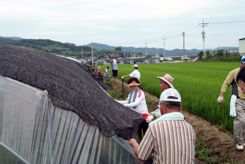 적중면 돌풍피해지역 복구지원0