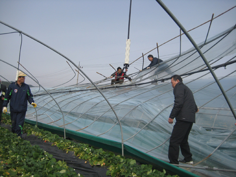 쌍책 돌풍피해지역 현장방문0