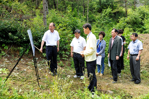 쌍책면 돌발해충 송충이 발생현장 확인.0