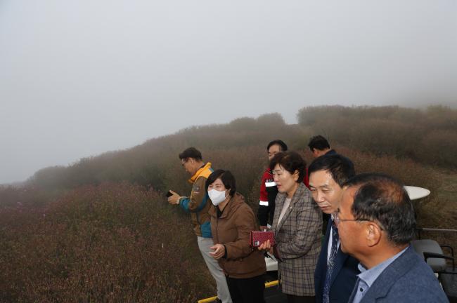 황매산 철쭉제 행사장 사전방문4