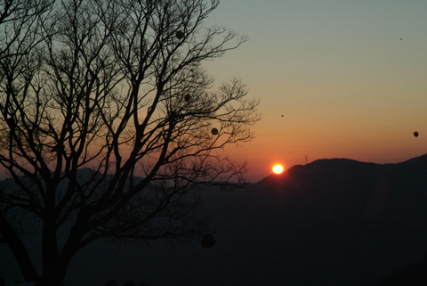 2009년 해맞이행사0