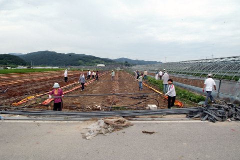 적중면 돌풍피해지...